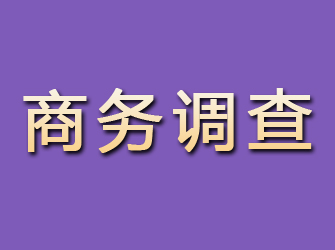 临沭商务调查